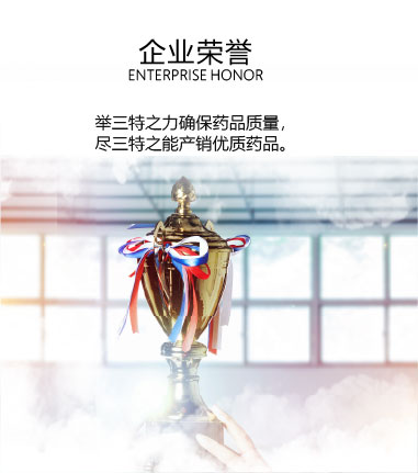 集團榮譽